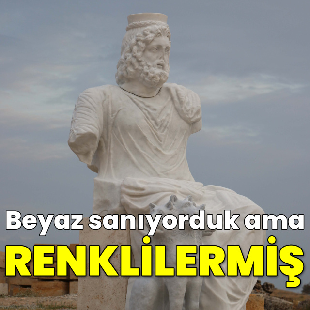Beyaz sanıyorduk ama renkliydiler!