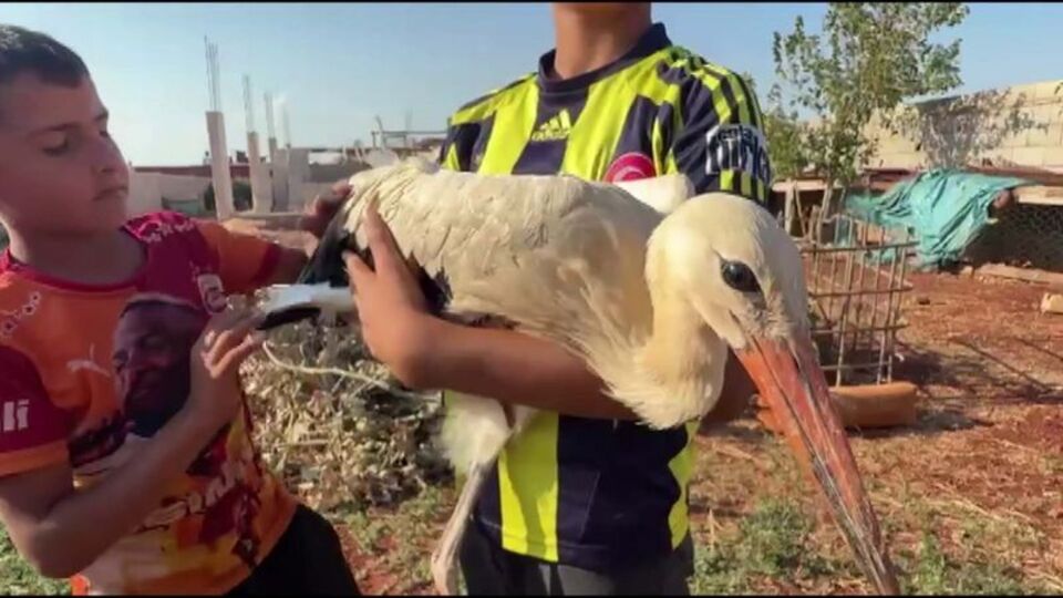 Yorgun düşen leyleği evinde misafir etti