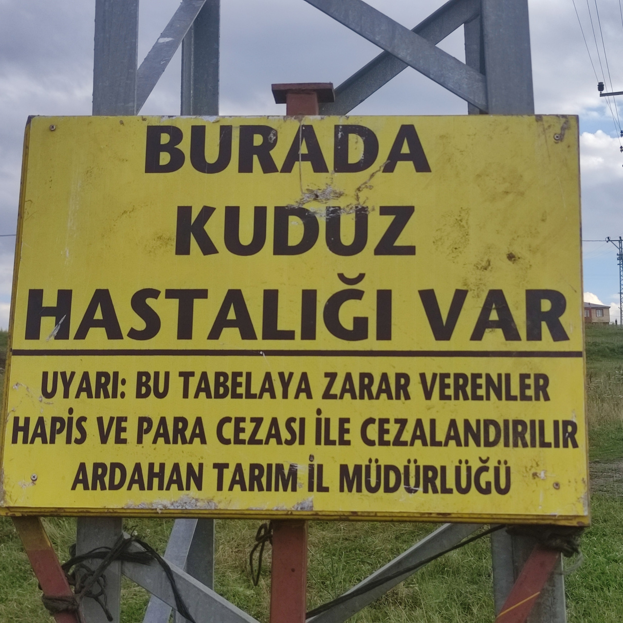 Gürçayır'da Kuşatma: Kuduz Riskiyle Karşı Karşıya Mahalle