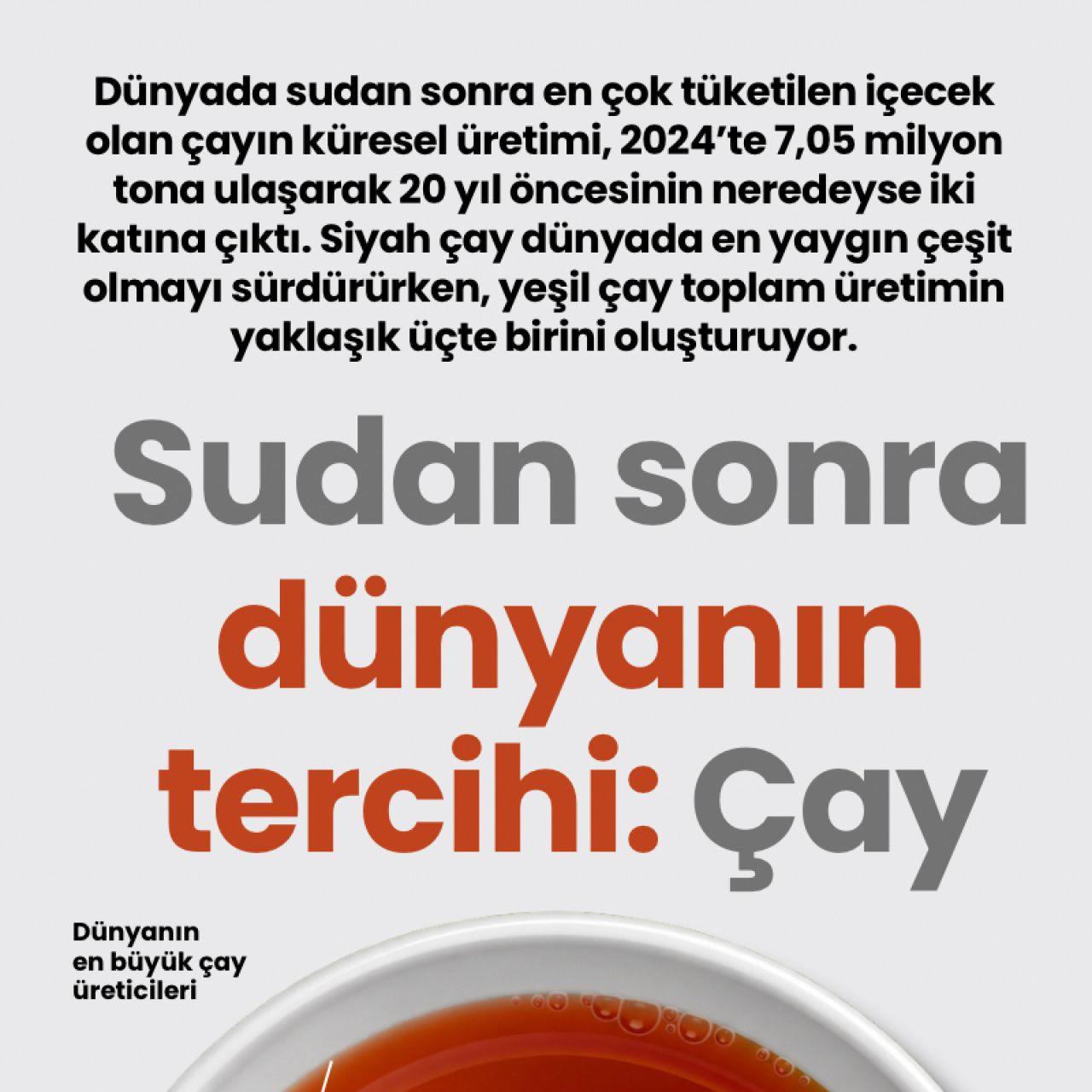 Bitki İksiri Çağı: Çayın Yükselişi ve Geleceği