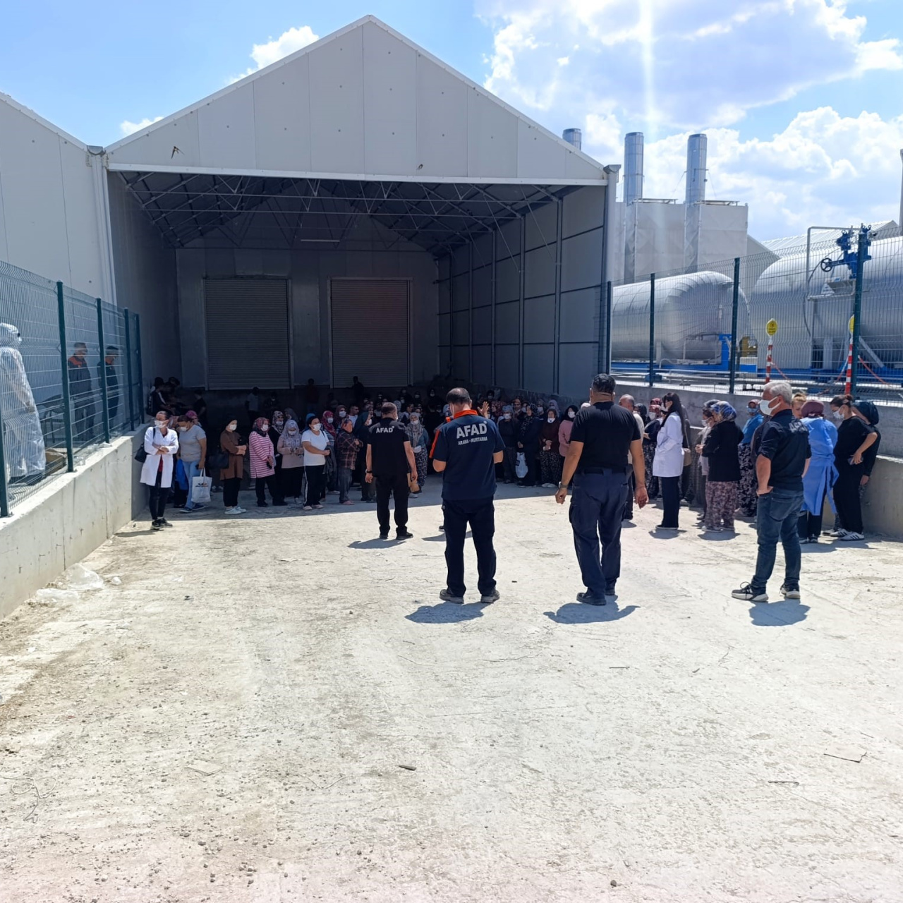 Domates serasında 40 kişi zehirlendi! haber görseli