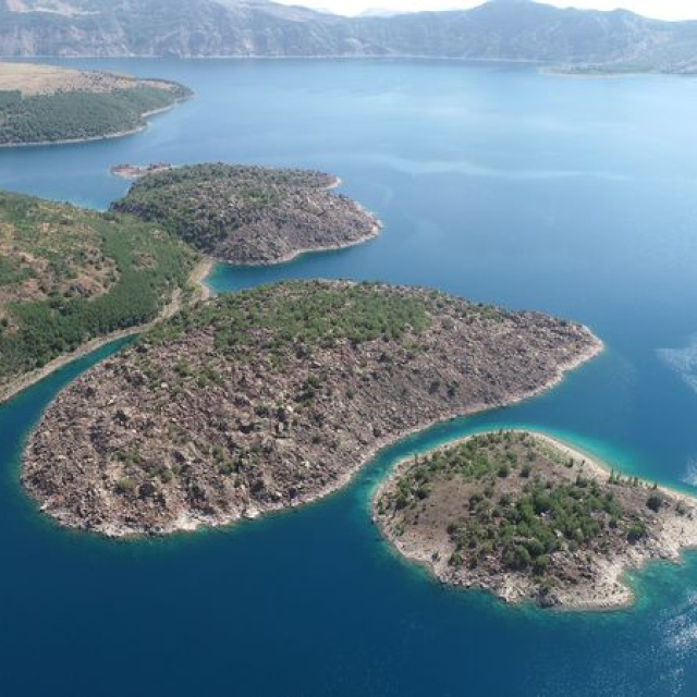 Bitlis'i sevindiren haber!
