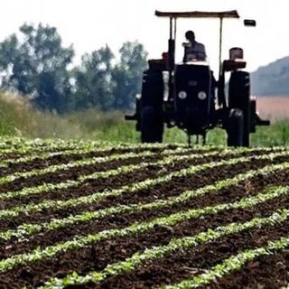 Tarımsal girdi fiyatları haziranda geriledi
