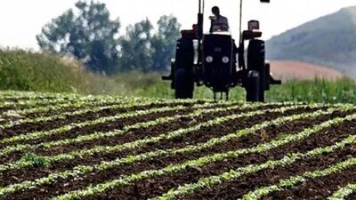 Tarımsal girdi fiyatları haziranda geriledi