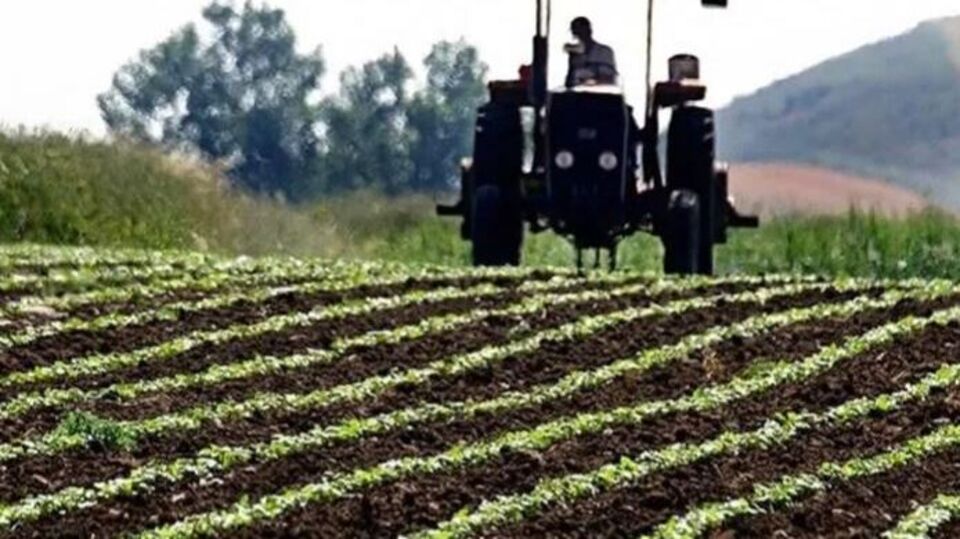 Tarımsal girdi fiyatları haziranda geriledi