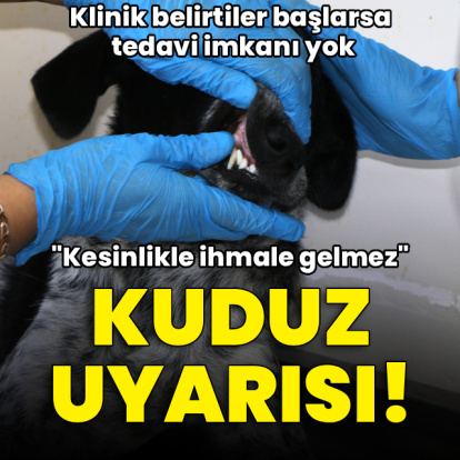 "Kuduz kesinlikle ihmale gelmez" uyarısı!