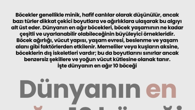 Dünyanın en ağır 10 böceği