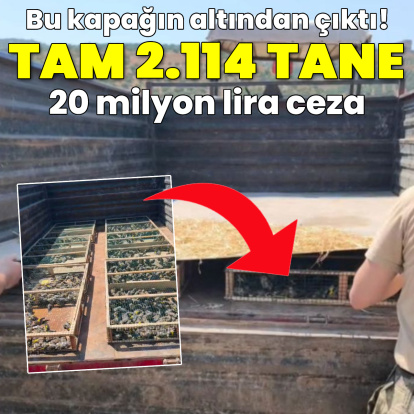Kapağın altından çıktı! Tam 2 bin 114 adet