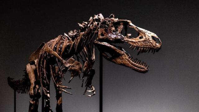 Bir T-Rex'iniz olsun istemez miydiniz?