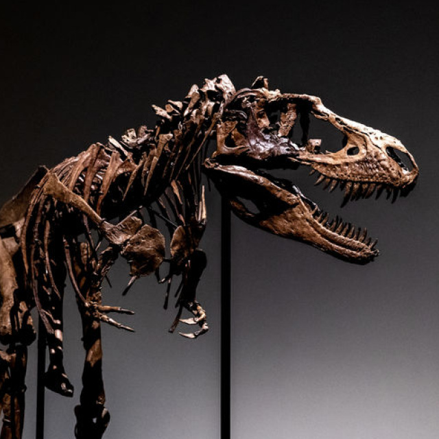 Bir T-Rex'iniz olsun istemez miydiniz?