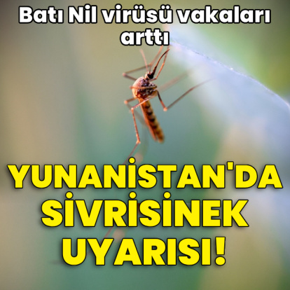 Yunanistan'da sivrisinek uyarısı!