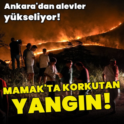Ankara'nın Mamak ilçesinde yangın