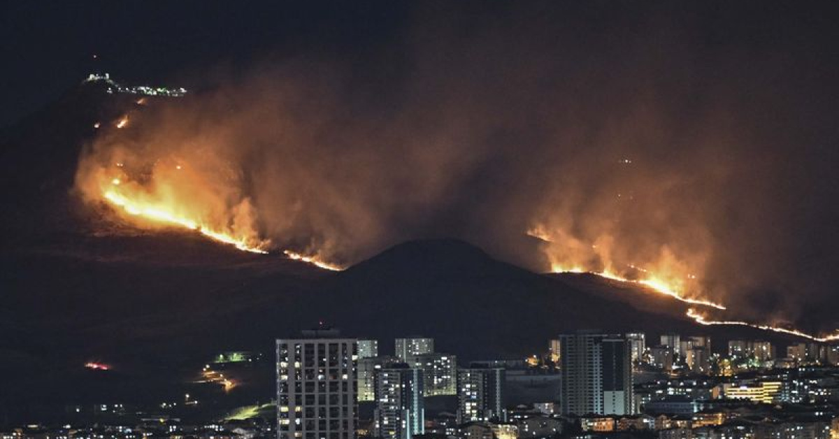 Ankara Mamak'ta ağaçlık alanda çıkan yangın kontrol altında