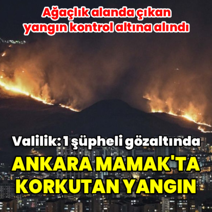Başkent'te ağaçlık alanda yangın
