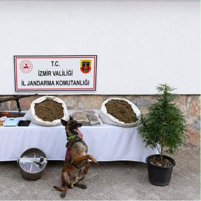 İzmir'de uyuşturucu operasyonu: 7 gözaltı