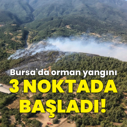 Bursa'da 3 noktada orman yangını çıktı