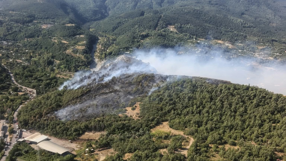 Bursa'da 3 noktada orman yangını çıktı