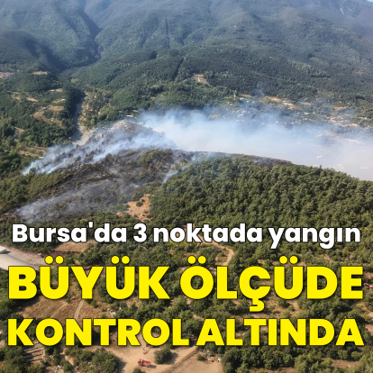 Bursa'da 3 noktada orman yangını çıktı