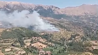 Arazide başladı, ormana sıçradı!