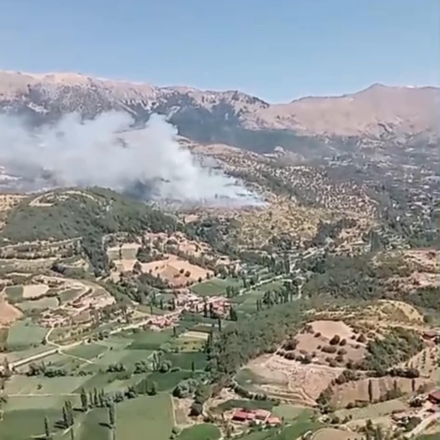 Arazide başladı, ormana sıçradı!
