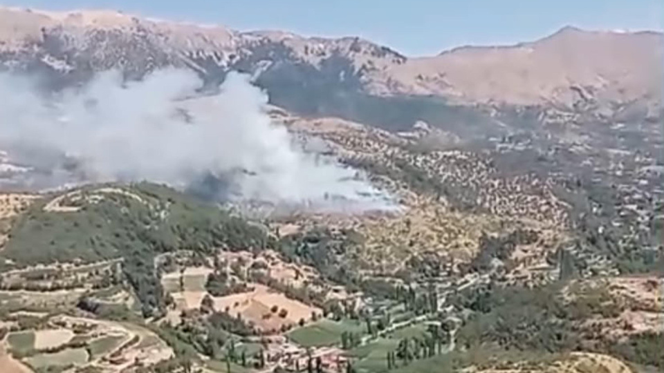 Arazide başladı, ormana sıçradı!