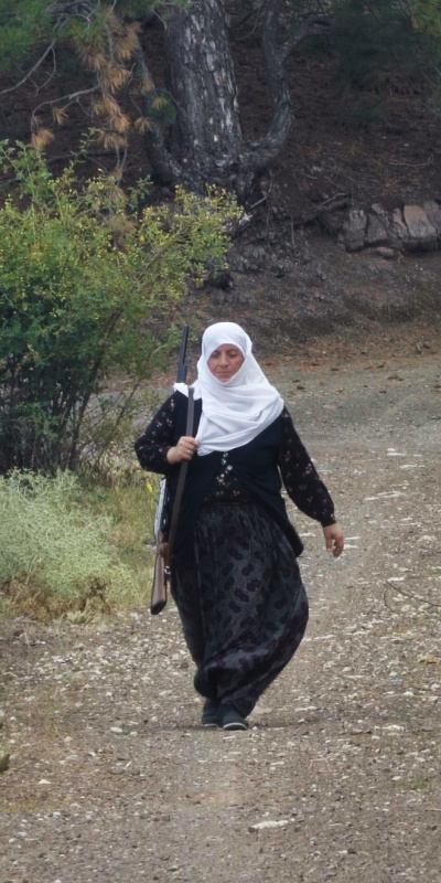 Meydan okuyorlar