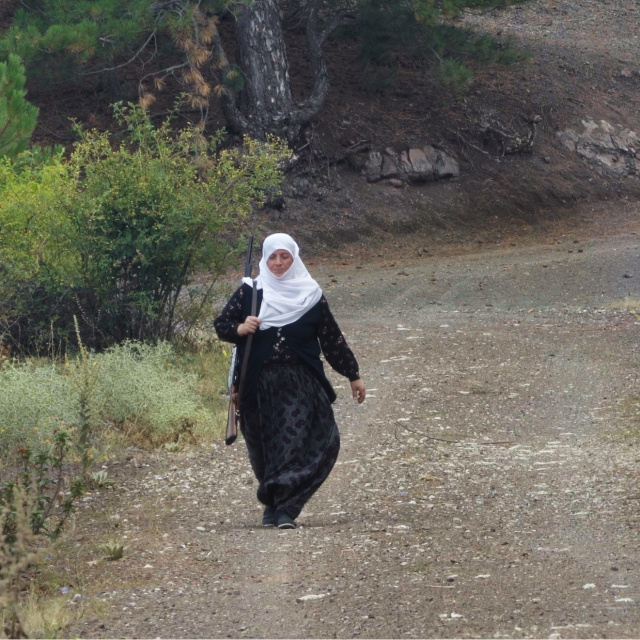 Meydan okuyorlar