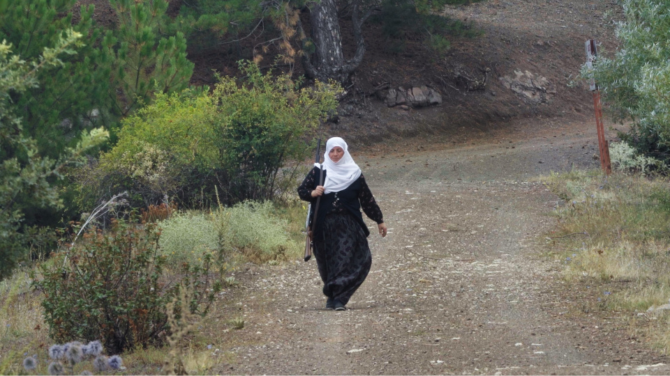 Meydan okuyorlar