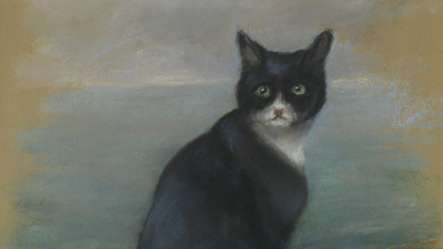 Mucize kedi 'Batmayan Sam' efsanesi