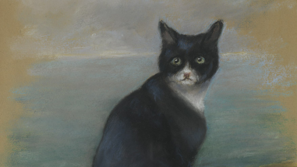 Mucize kedi 'Batmayan Sam' efsanesi