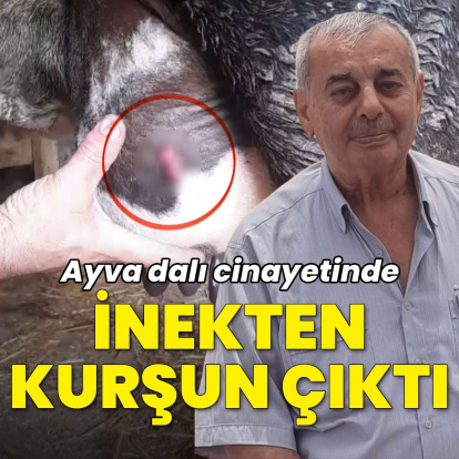 Ayva dalı cinayetinde kurşunlardan biri inekten çıktı