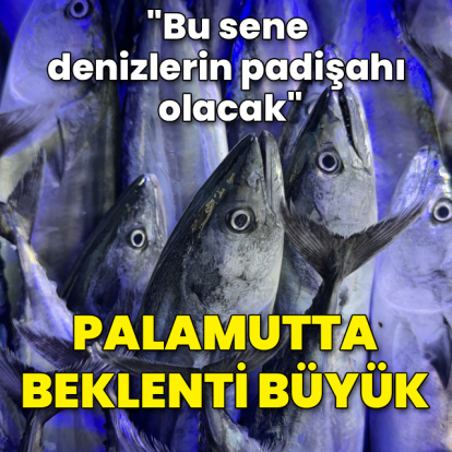 Palamutta beklenti büyük