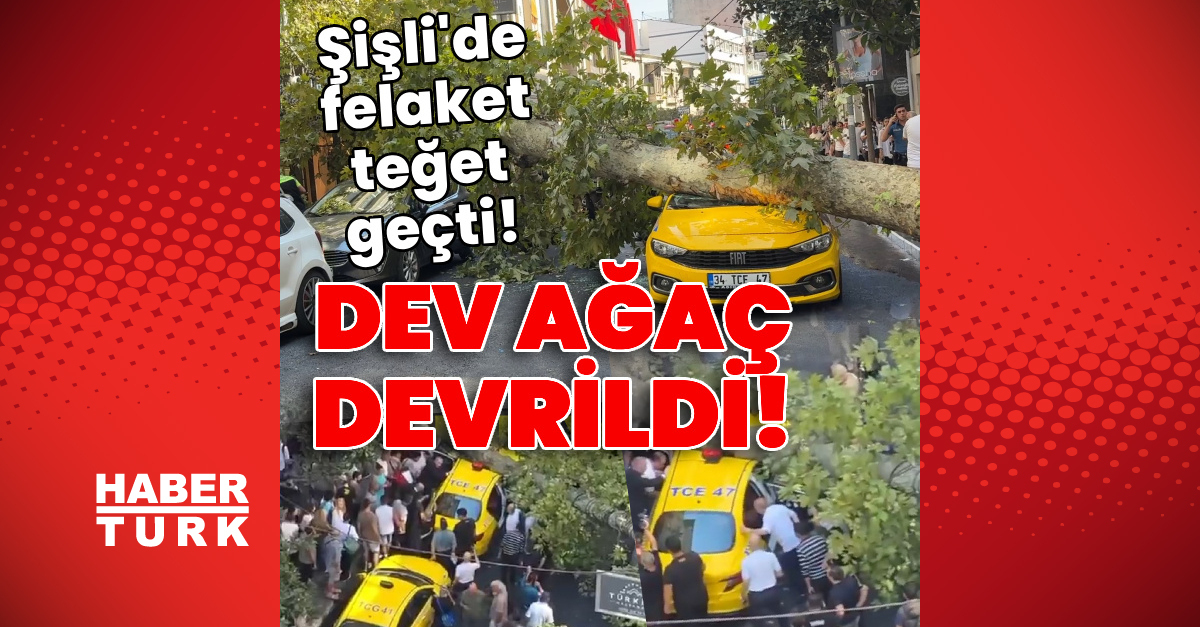 Son dakika! Şişli'de ağaç devrildi! Felaket teğet geçti! - Güncel Haberler