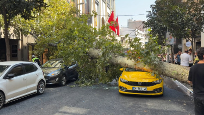 Şişli'de ağaç devrildi! Felaket teğet geçti!