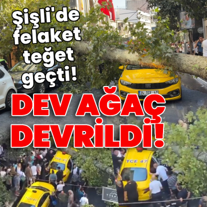 Şişli'de ağaç devrildi! Felaket teğet geçti!