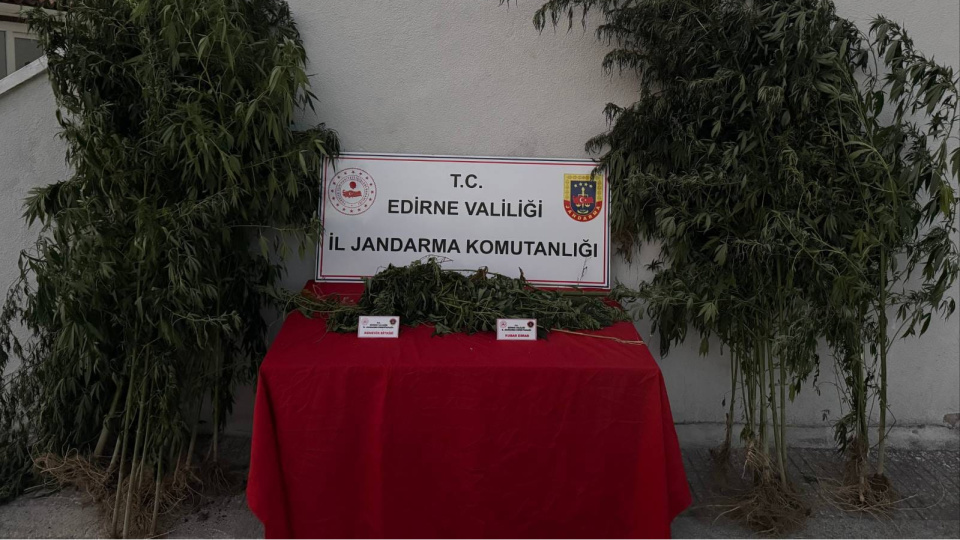 Kenevir sularken yakalandı!