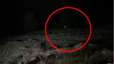 600 metre yuvarlandı! 4 ölü, 5 yaralı