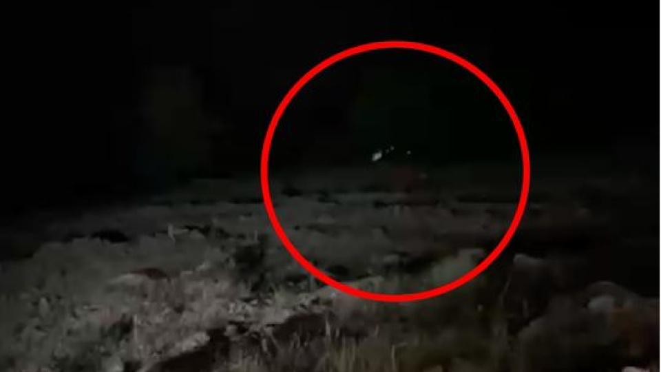 600 metre yuvarlandı! 4 ölü, 5 yaralı