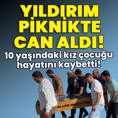 Yıldırım piknikte can aldı!
