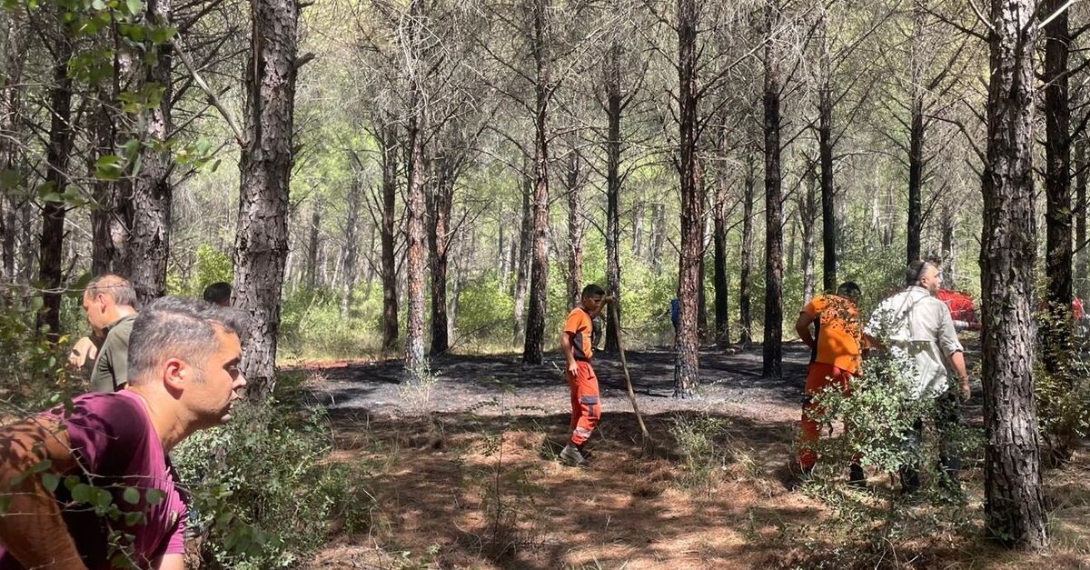 Muğla’da orman yangını! Ekipler havadan ve karadan müdahale etti