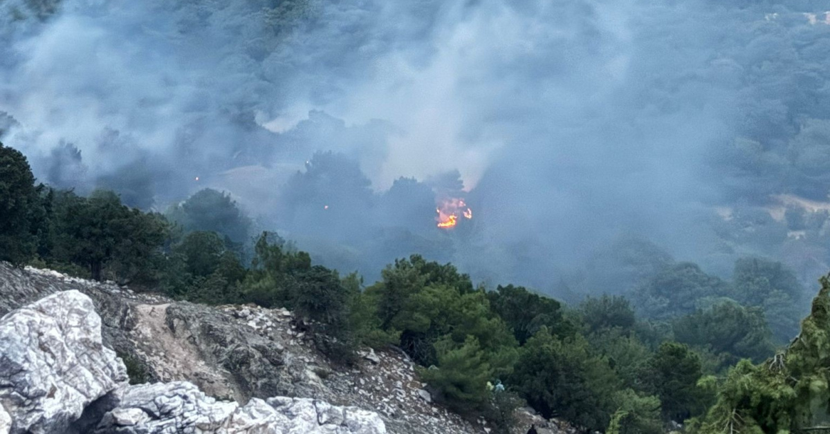 Yıldırım, orman yangını çıkardı!