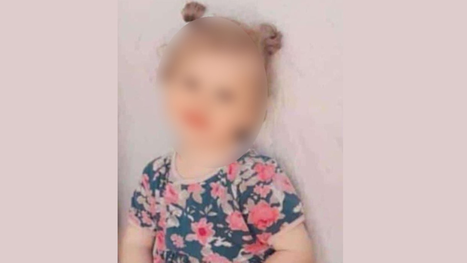 Kuduz dehşeti! Küçük çocuktan acı haber!