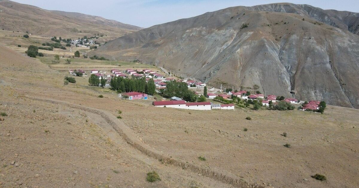 Ayı 144 küçükbaşı telef etti!