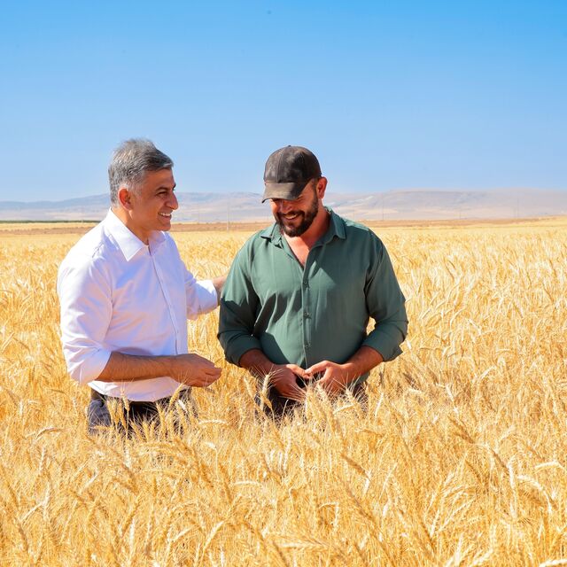 ETİ,kanatlı buğdayının ilk tohumluk hasadını gerçekleştirdi