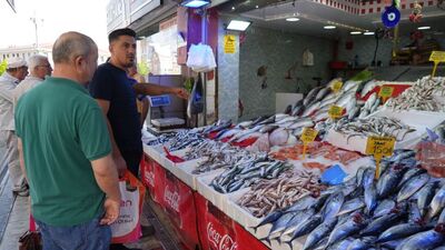 Balık sezonu açıldı: Tanesi 150 TL