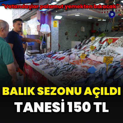Balık sezonu açıldı: Tanesi 150 TL