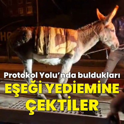 Protokol Yolu'nda bulunan eşek çekiciyle yediemine çekildi