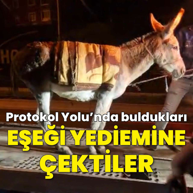 Protokol Yolu'nda bulunan eşek çekiciyle yediemine çekildi