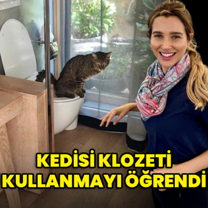 Kedisi klozeti kullanmayı öğrendi