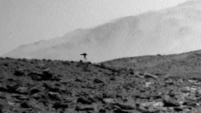 Mars'ta gizemli 'denizanası' görüntüsü